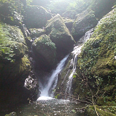 120909_p10.jpg