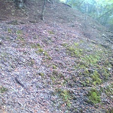 141011_p27.jpg