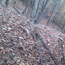 141103_p23.jpg