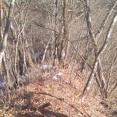 150331_p11.jpg