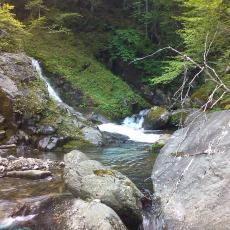 150523_p20.jpg