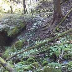150905_p02.jpg