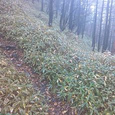 151011_p05.jpg