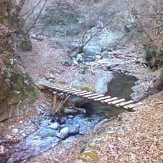 151230_p03.jpg