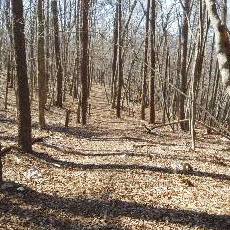170304_p05.jpg