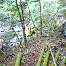 170617_p35.jpg