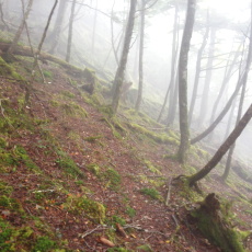 170924_p05.jpg