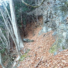 190302_p24.jpg