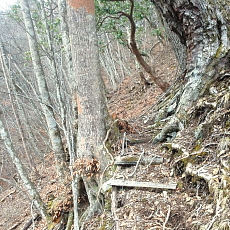 190323_p39.jpg