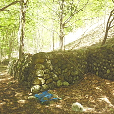 190518_p47.jpg