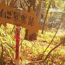 201206_p13.jpg
