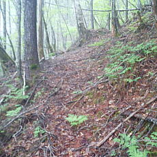 210522_p04.jpg
