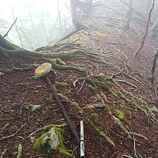 210522_p11.jpg