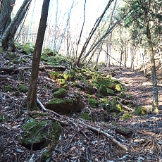 230304_p07.JPG