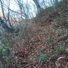 221112_p04.jpg