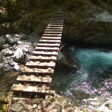 120512_p01.jpg