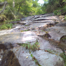 120729_p03.jpg