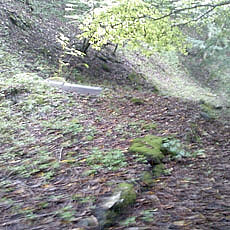 121007_p03.jpg