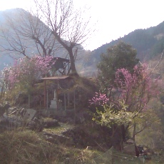 130414_n01.jpg