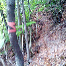 130526_p18.jpg
