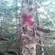 130606_p21.jpg