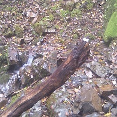 131006_p07.jpg