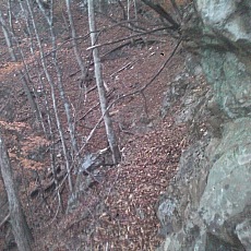 141103_p24.jpg