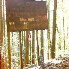 150711_p03.jpg
