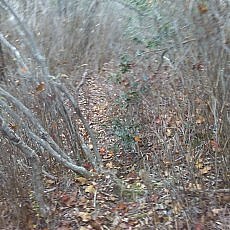 151010_p04.jpg