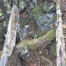 151010_p18.jpg