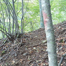 161010_p08.jpg