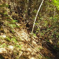 170604_p09.jpg
