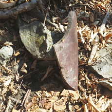 190302_p07.jpg