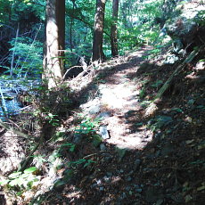 200605_p05.jpg