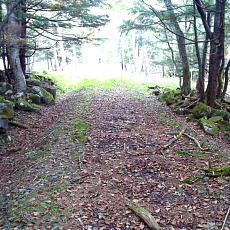 201004_p04.jpg
