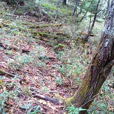 201004_p28.jpg