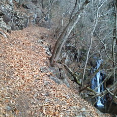 201219_p07.jpg