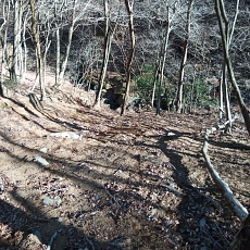 230304_p16.JPG
