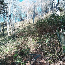 221112_p23.jpg