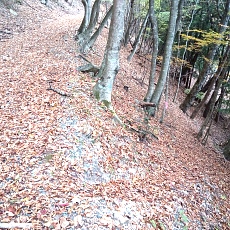 231030_p17.jpg