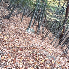 231030_p12.jpg