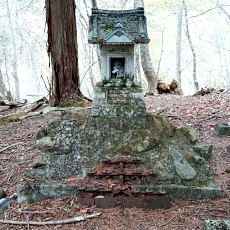 230502_p53.jpg