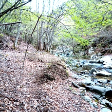 230502_p49.jpg