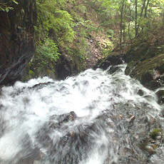 110703_p09.jpg