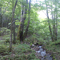 120630_p05.jpg