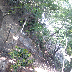130526_p09.jpg