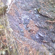 141103_p03.jpg