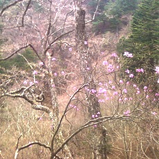 150429_p22.jpg
