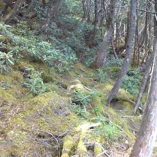 150522_p21.jpg