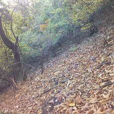 151103_p22.jpg